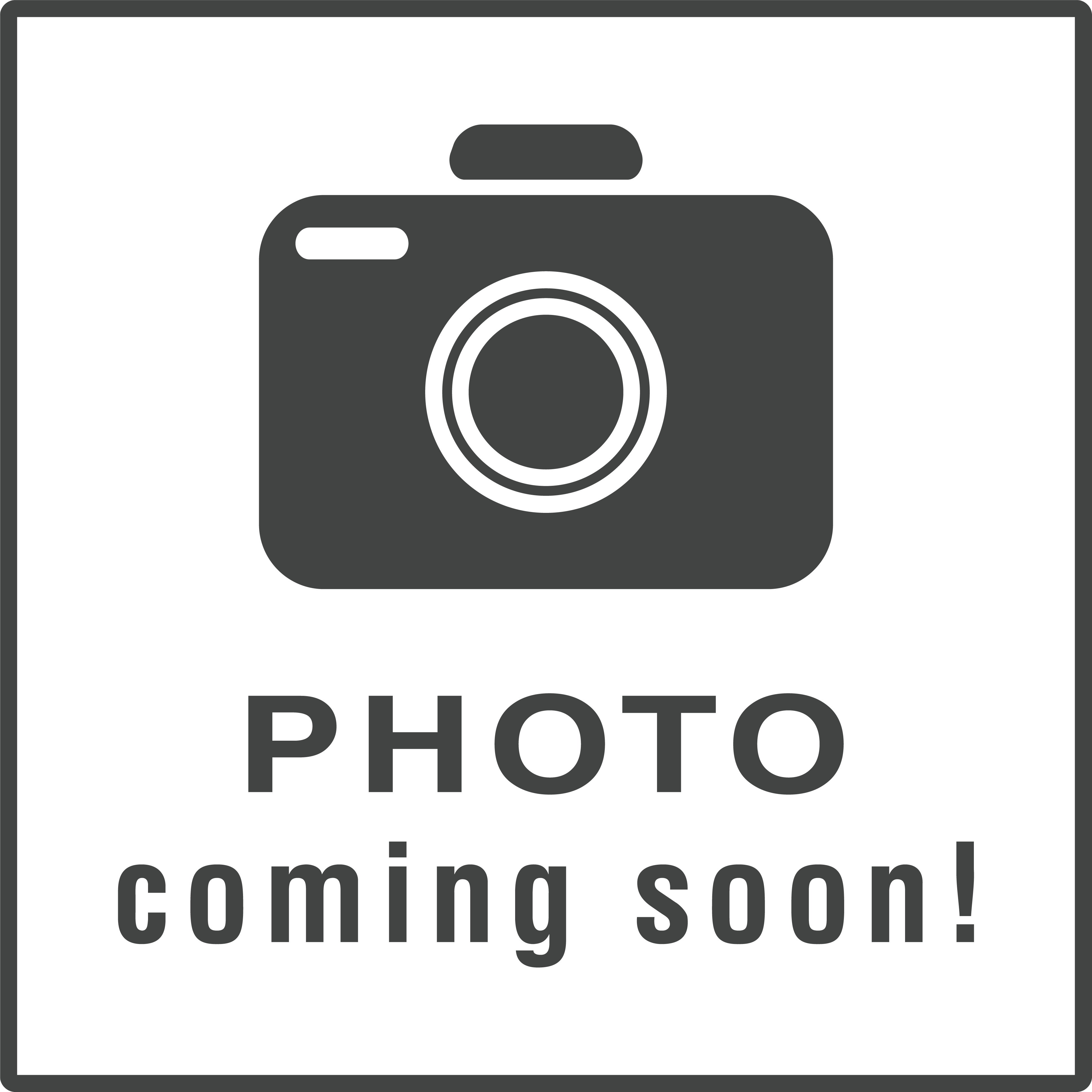 The image shows a black and white camera icon with a text overlay that reads 'PHOTO' above and 'COMING SOON!' below, indicating that a photo will be available shortly.